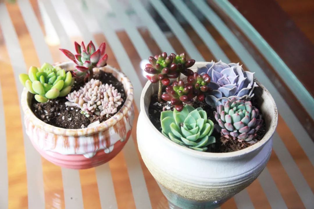 moh roch tweet media