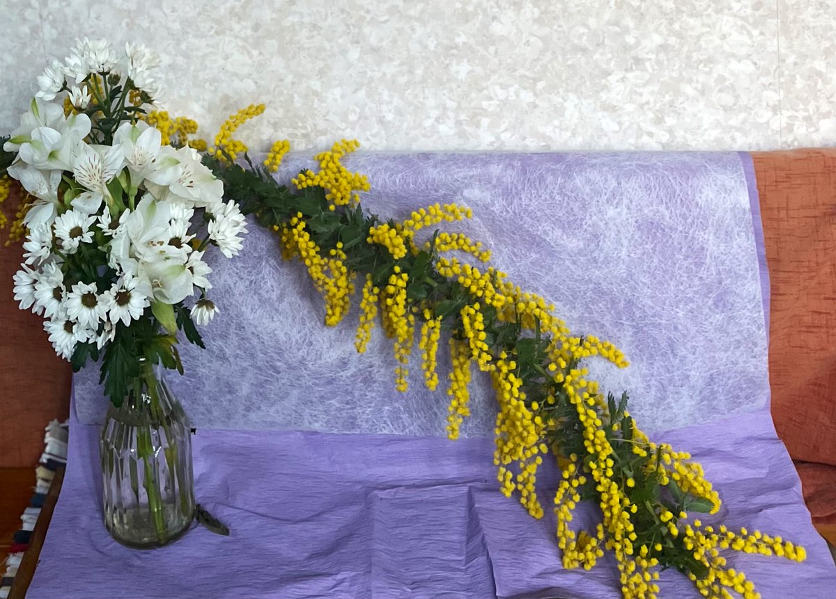 チシャ猫 tweet media