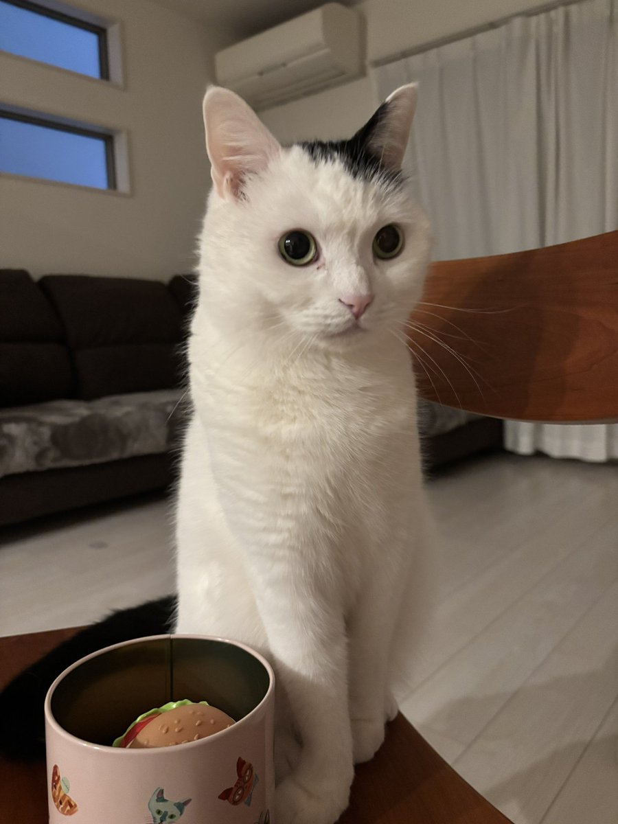 まつもとたける tweet media