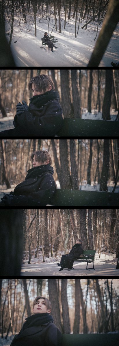 michael shibley tweet media