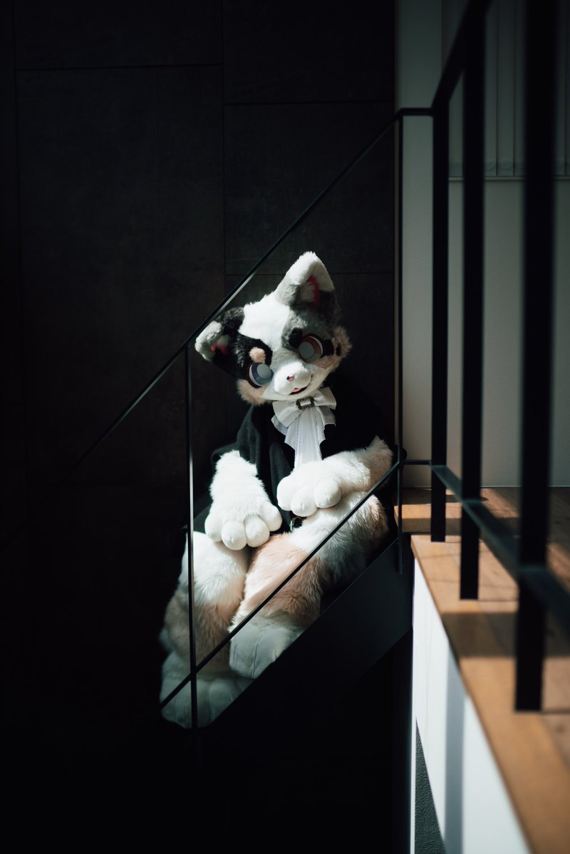 ロロ🐶💎 tweet media