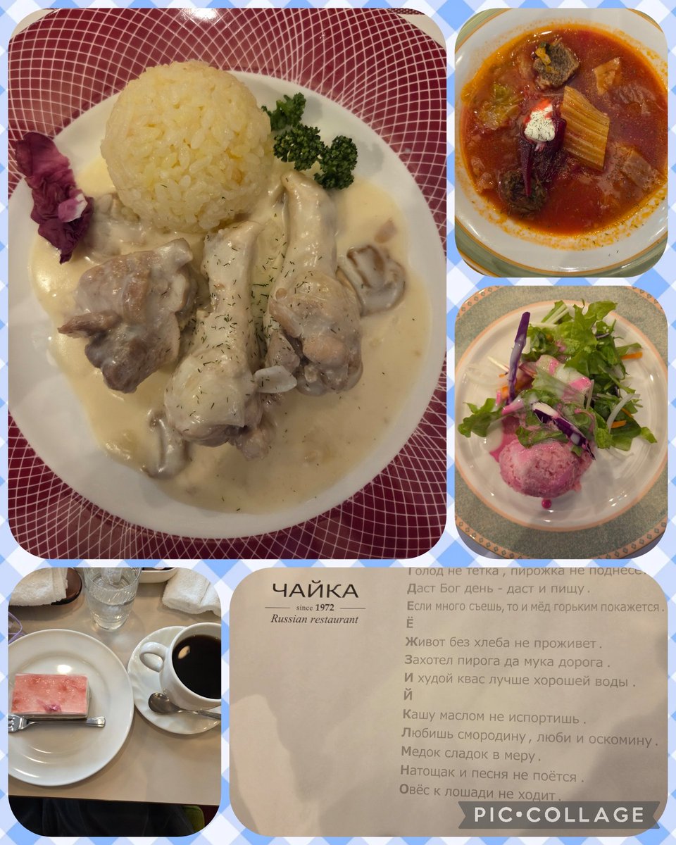 philofran's tweet photo. 高田馬場のチャイカさまで念願のランチ❣️1時間待ちに耐えて耐えての蜂蜜色クワスが何とも美味🤎その後ルノワールで桜と抹茶のケーキ🍰🍒🌸(ピロシキ撮り忘れ😅)次はサーモンのブリュヌイとペリメニをと既に決めている🧚 https://t.co/4fucc4gfxd