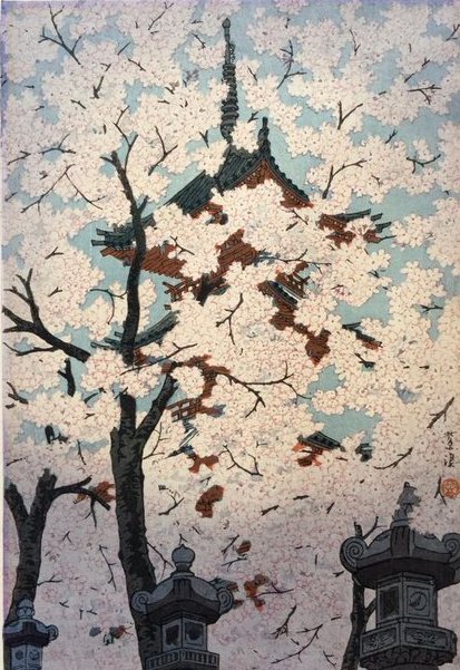 Kazuko M. tweet media