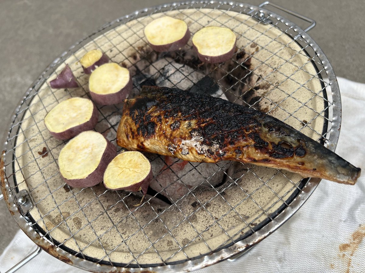 てつ子ザウルスlv7 tweet media