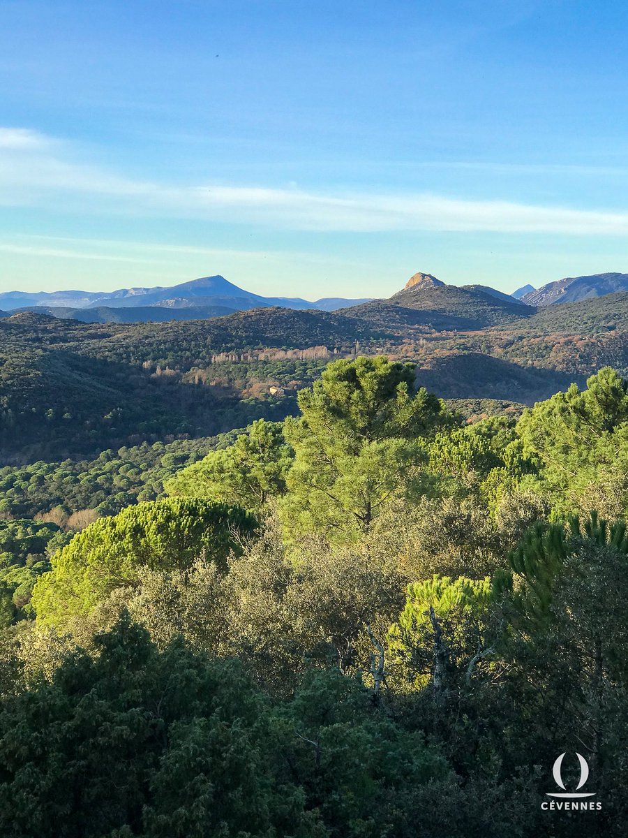 Les Cévennes d’Oraterra tweet media