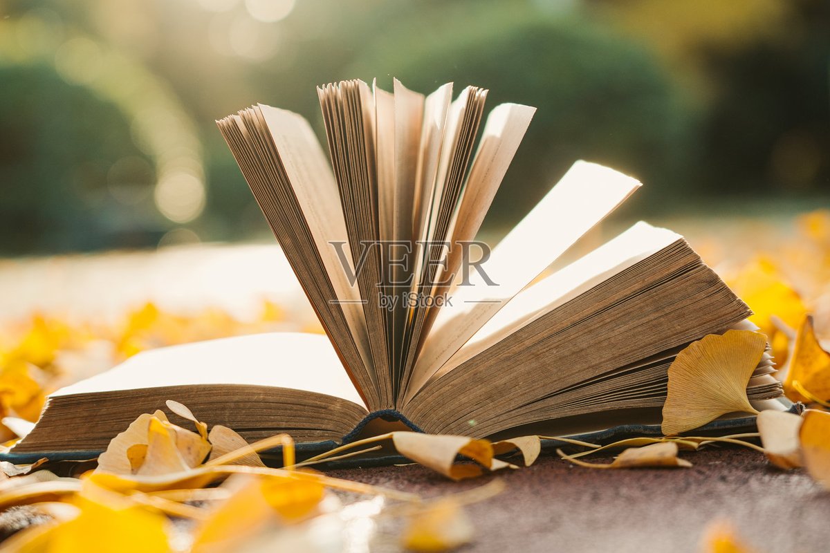 Natasha Be;; tweet media