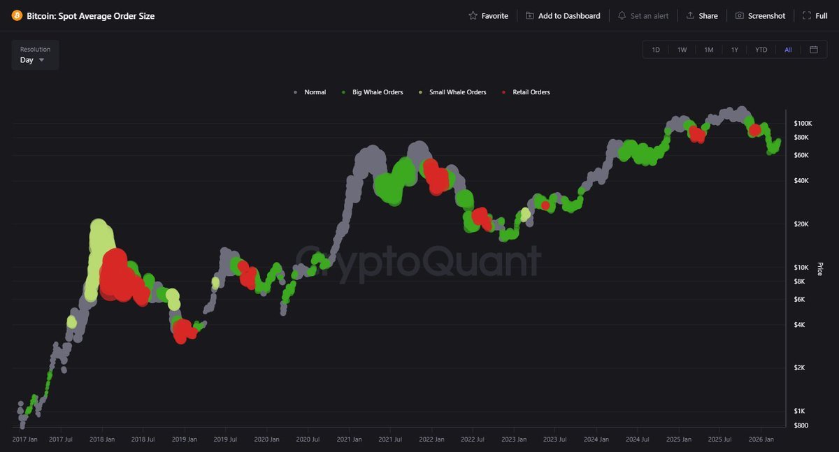 Crypto Rover tweet media