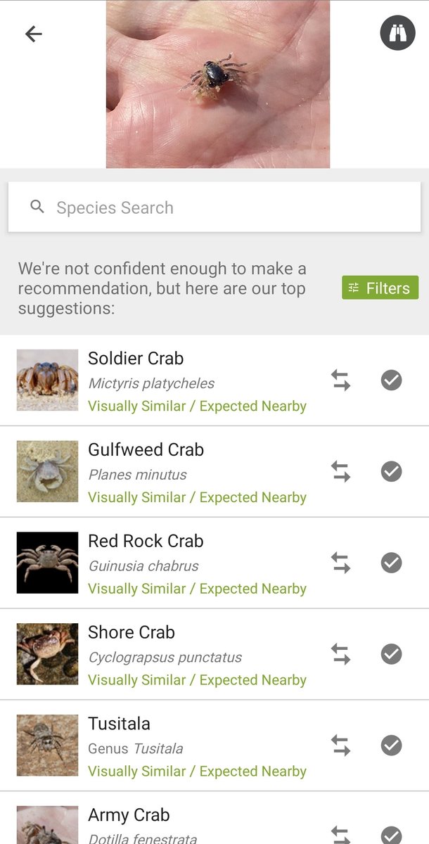 MightyCorleone 🇿🇦 tweet media