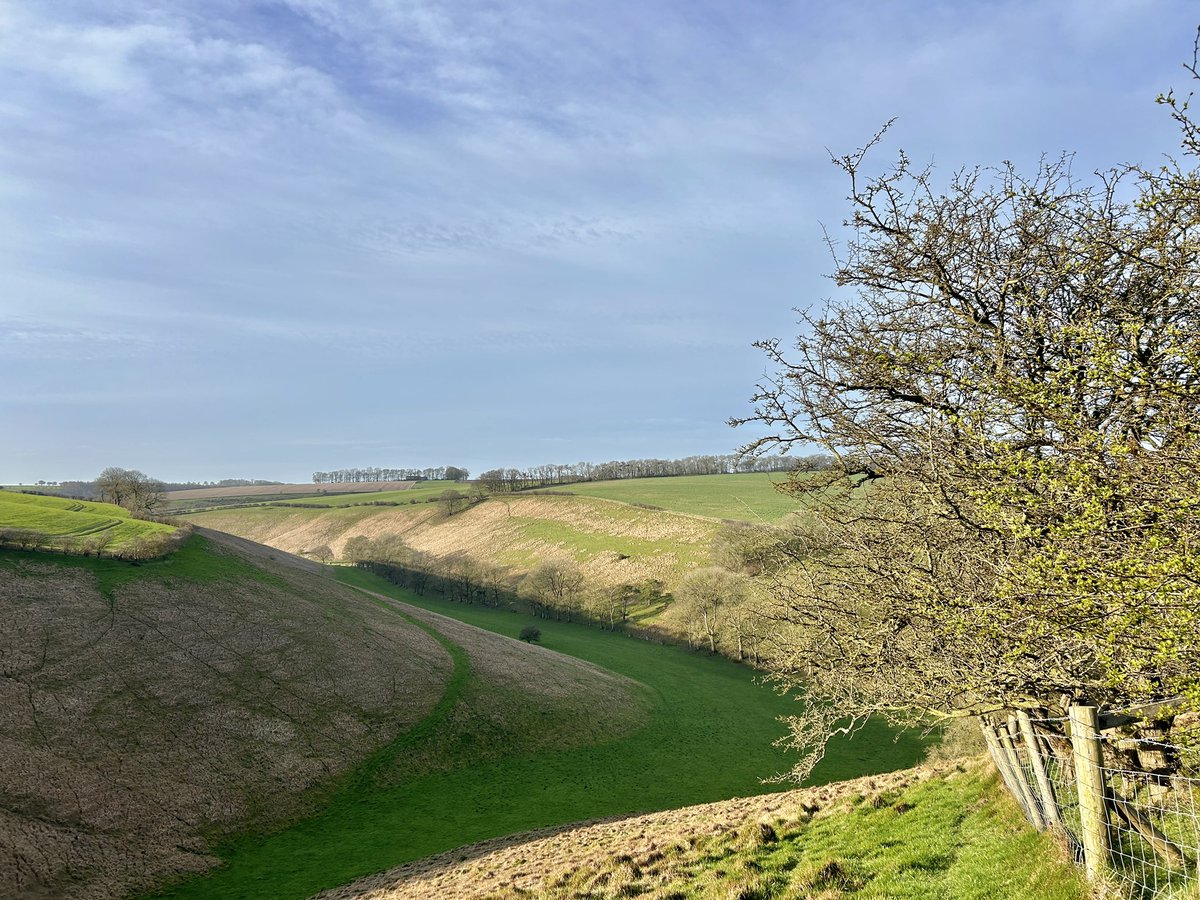 Yorkshire Wolds Weather tweet media