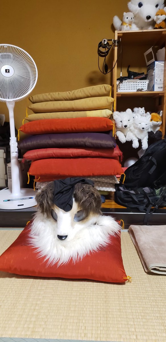 🐾わっち🐾 tweet media