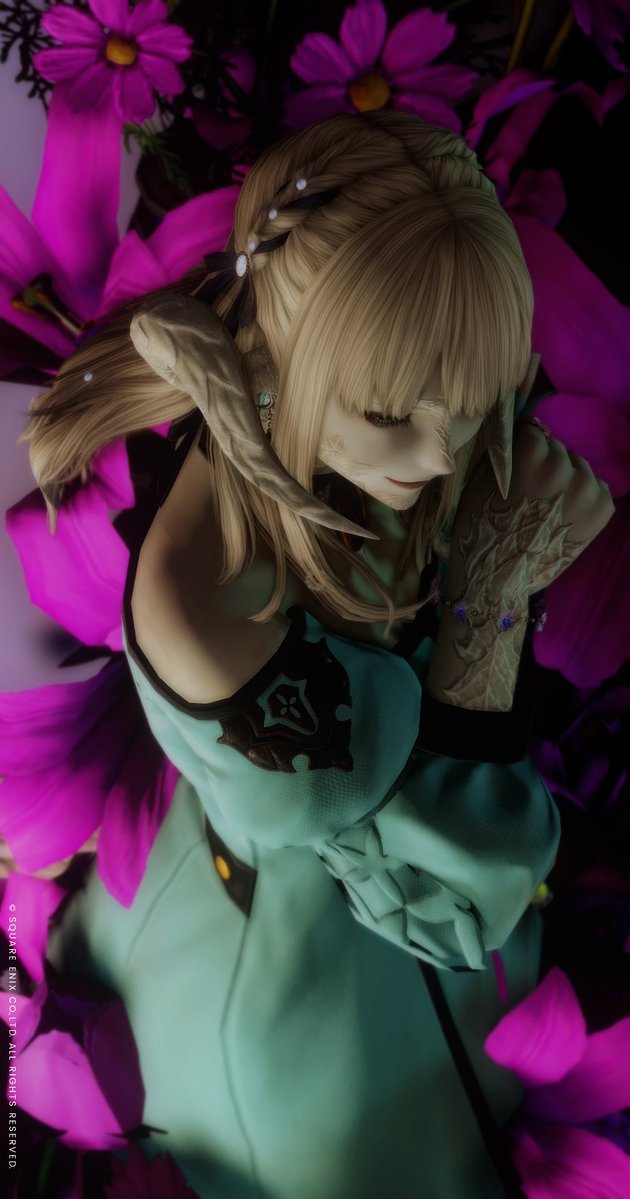 ステラノア tweet media