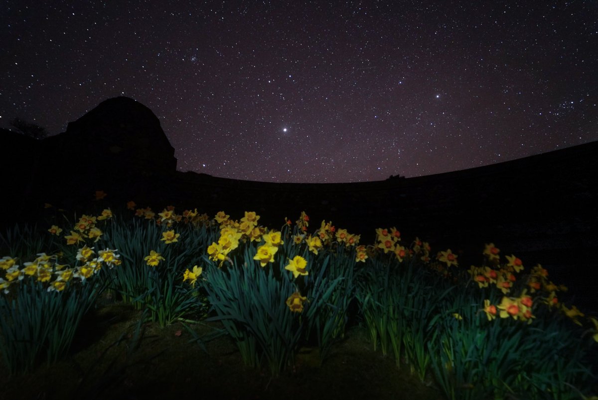 James Darby tweet media