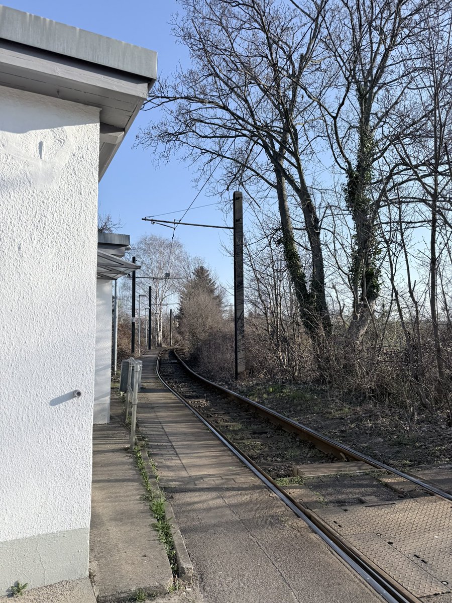 🕊koeppi65🕊 tweet media