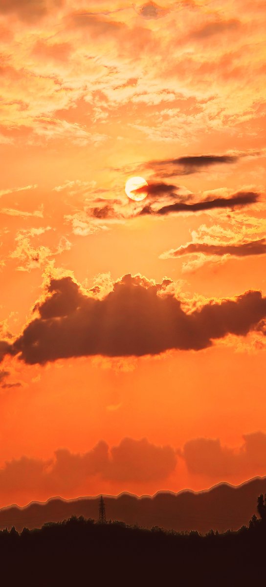 Cassandra Martin tweet media