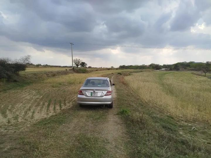 Panra 🌿 tweet media