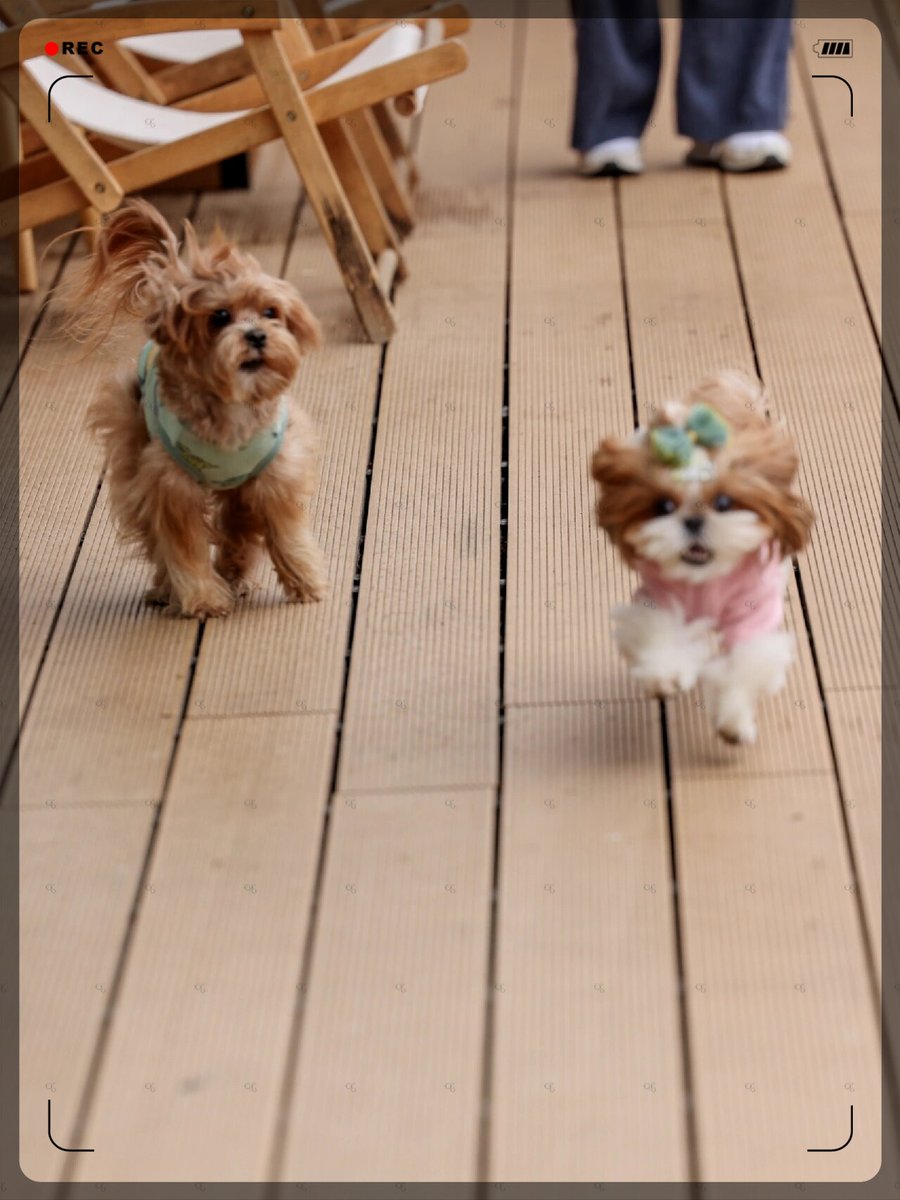 ninja bluth tweet media