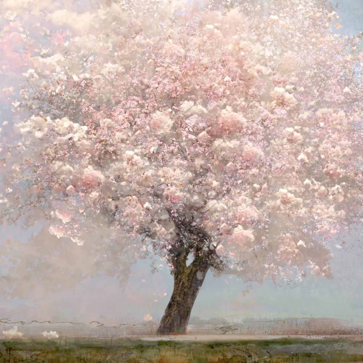 Saskia Boelsums tweet media