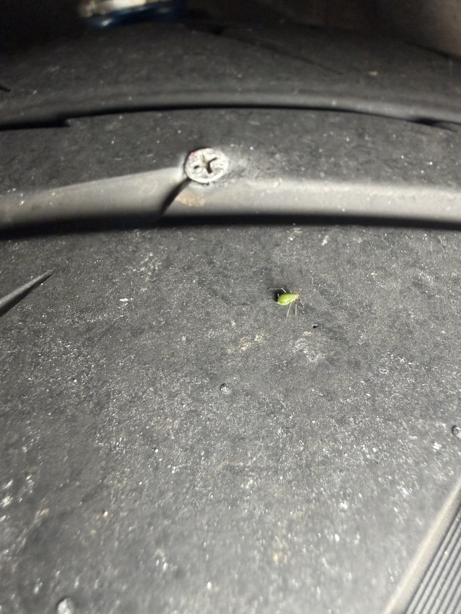 何をトチ狂って同じ写真あげてんだが…
ビスぅぁ