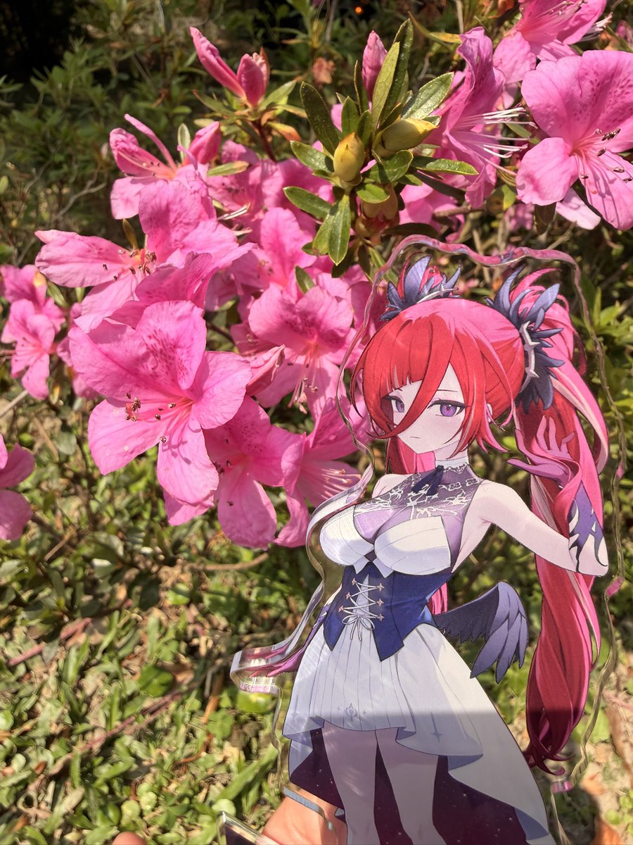 ソニックSonicBoss46 tweet media