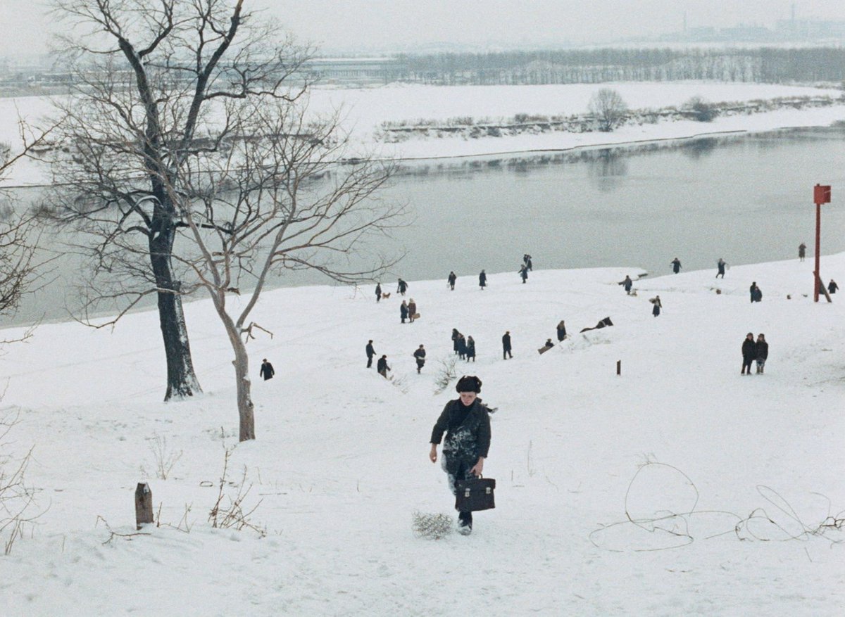 The projectionist woman tweet media