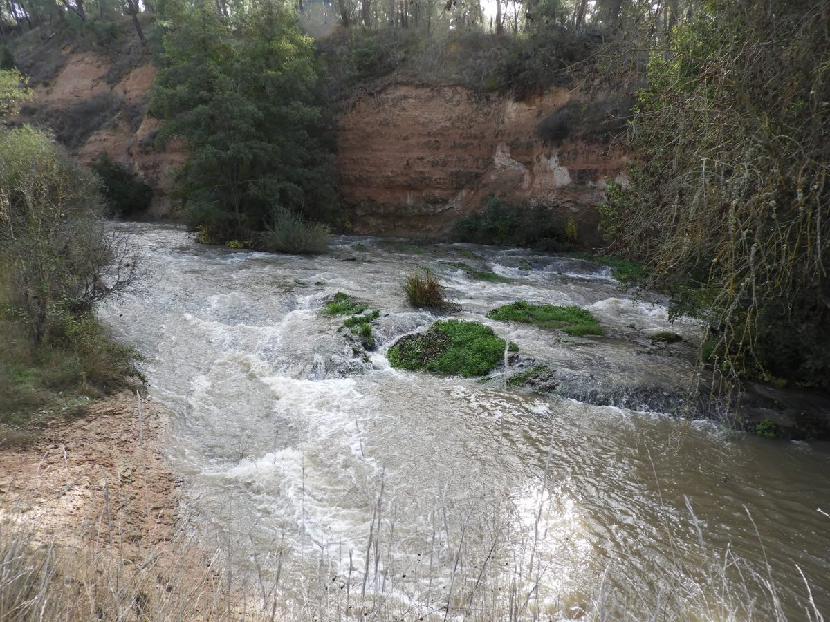 Cegaelrioqueune's tweet photo. 🗓️Hoy es el #DiaMundialDelAgua y debemos valorar y defender nuestro río Cega, pues sin un agua de calidad perdemos todos‼️💧🏞️ https://t.co/uXtEYw5Phf