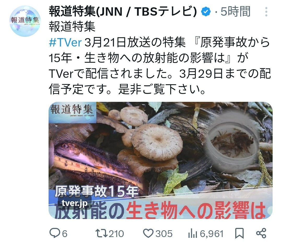 市田雄輝 tweet media