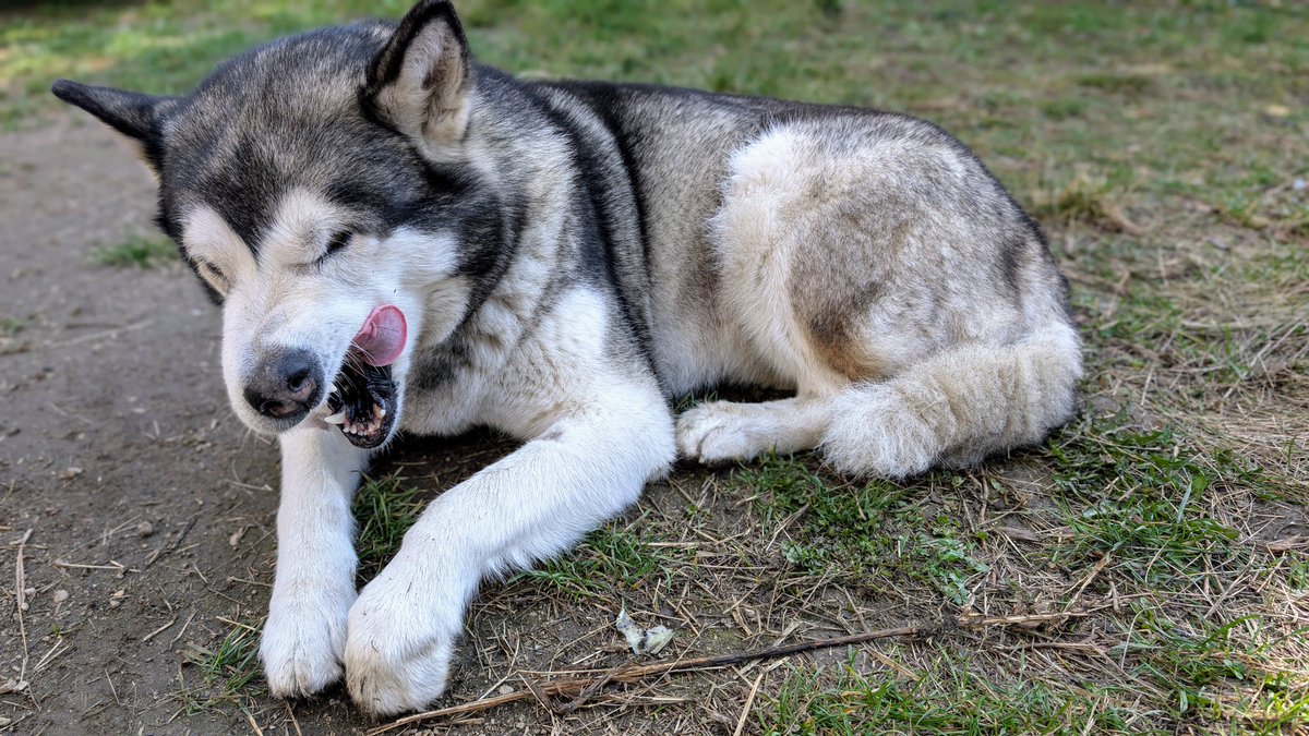 Středočeská Sešívka🇨🇿🇺🇦🇮🇱 tweet media