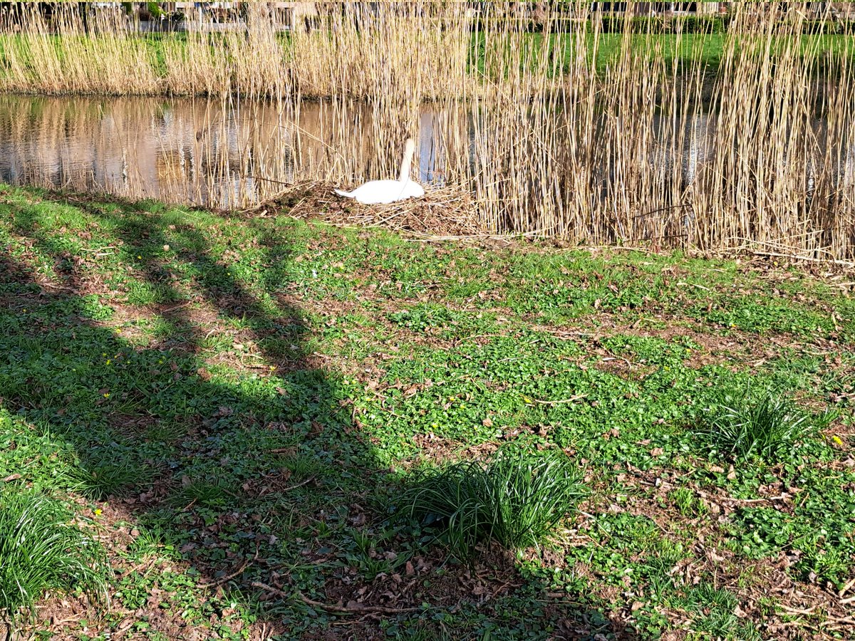 catharin2 tweet media