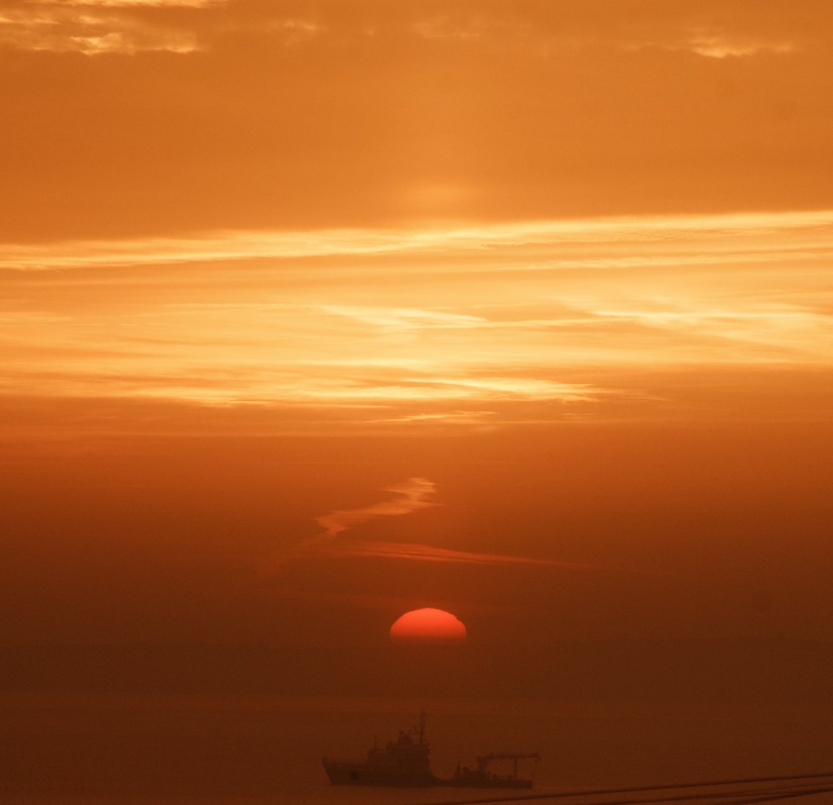 Alan Mac Cárthaigh 🇮🇪 tweet media