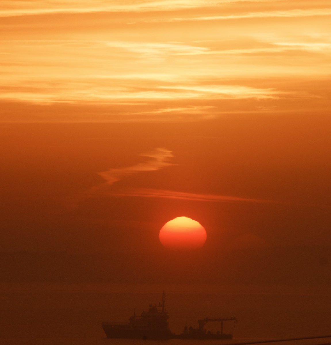 Alan Mac Cárthaigh 🇮🇪 tweet media