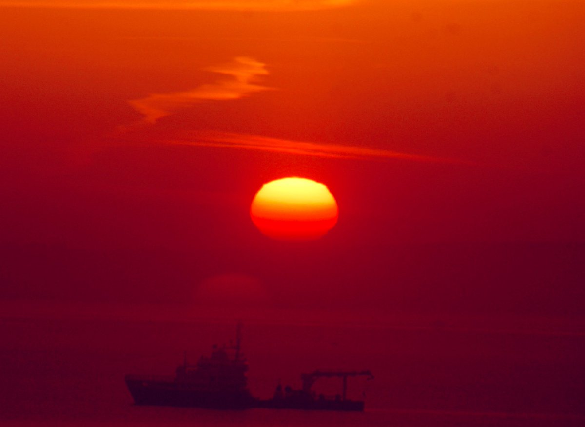 Alan Mac Cárthaigh 🇮🇪 tweet media