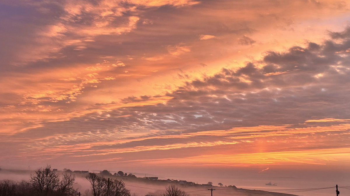 Alan Mac Cárthaigh 🇮🇪 tweet media