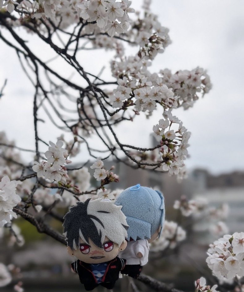 あの頃🎥
 #brnr春の夢2026