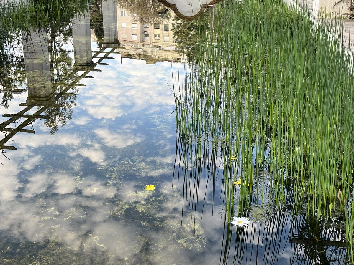 Alter ego Jordi tweet media