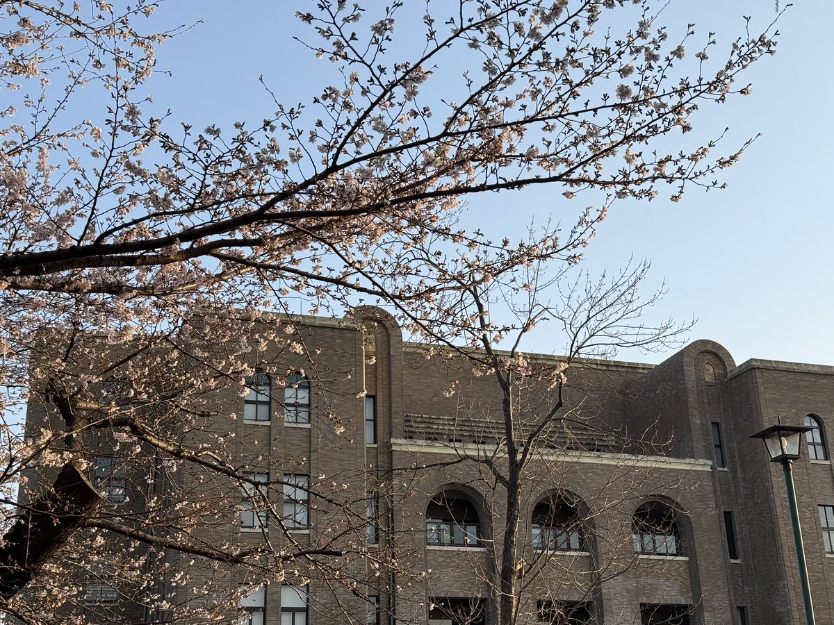 the Standard tweet media