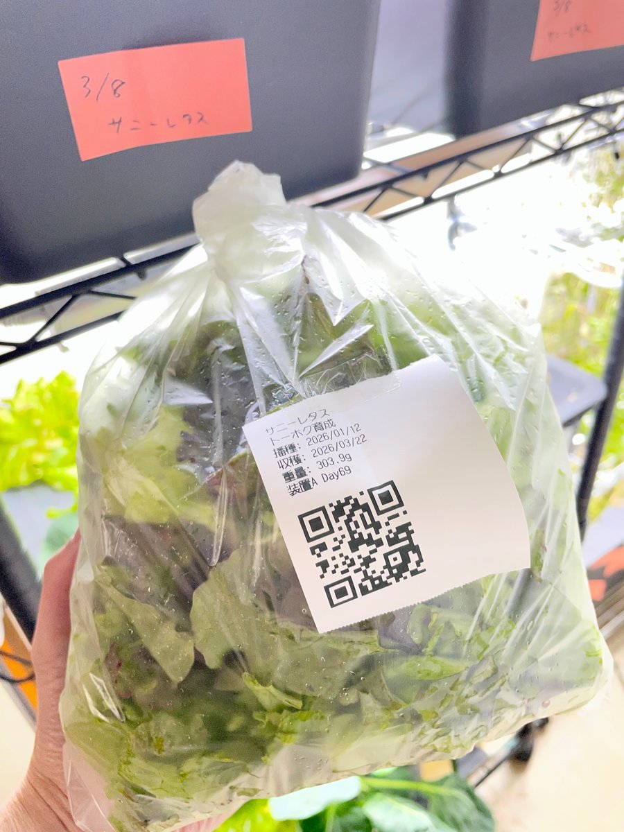 ムツミックス@技術書典 お09 tweet media