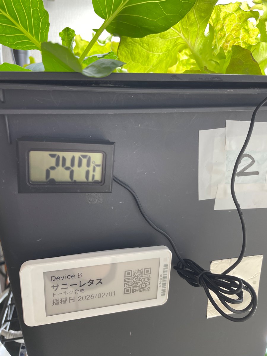 ムツミックス@技術書典 お09 tweet media