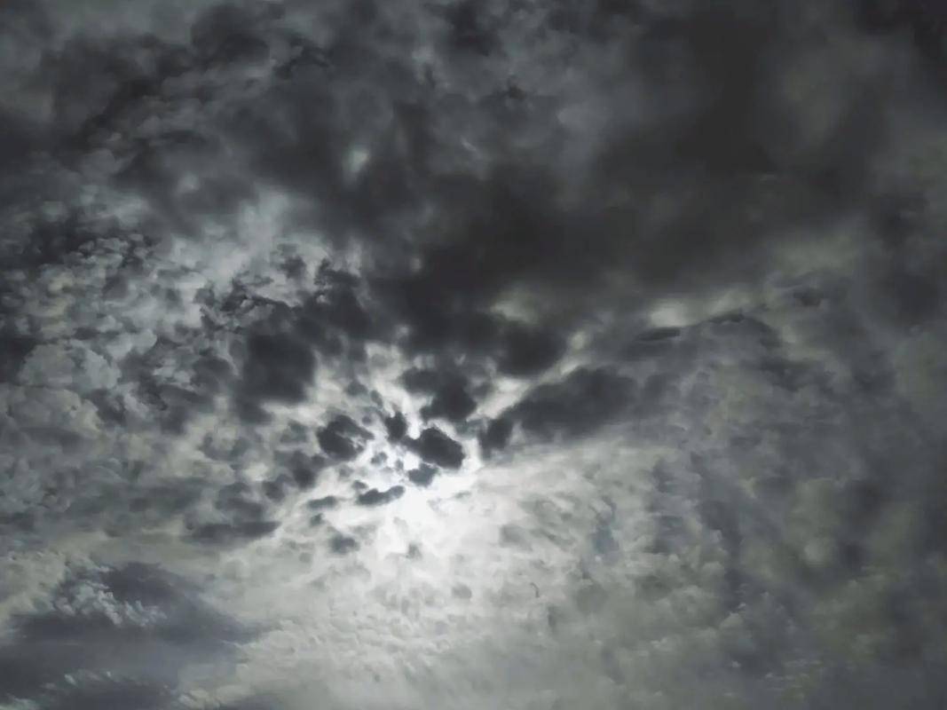 Peter waterson tweet media