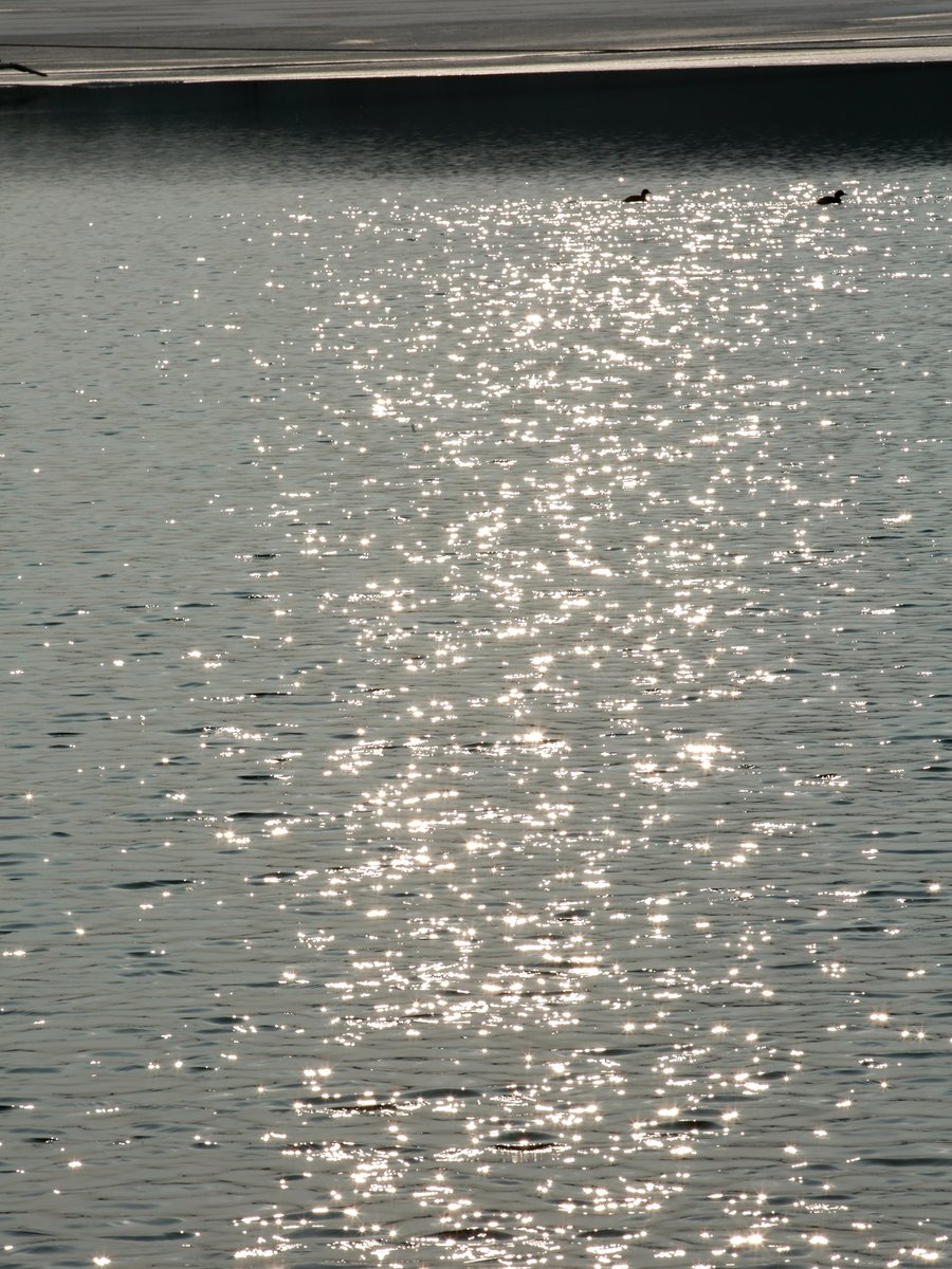 VERIVERY_OFFICIAL tweet media