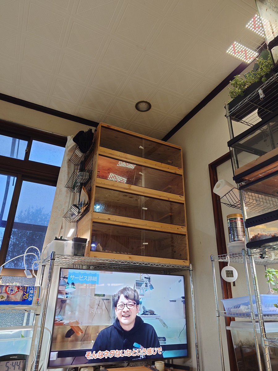 スガ夫＠スガレプ🍊 tweet media