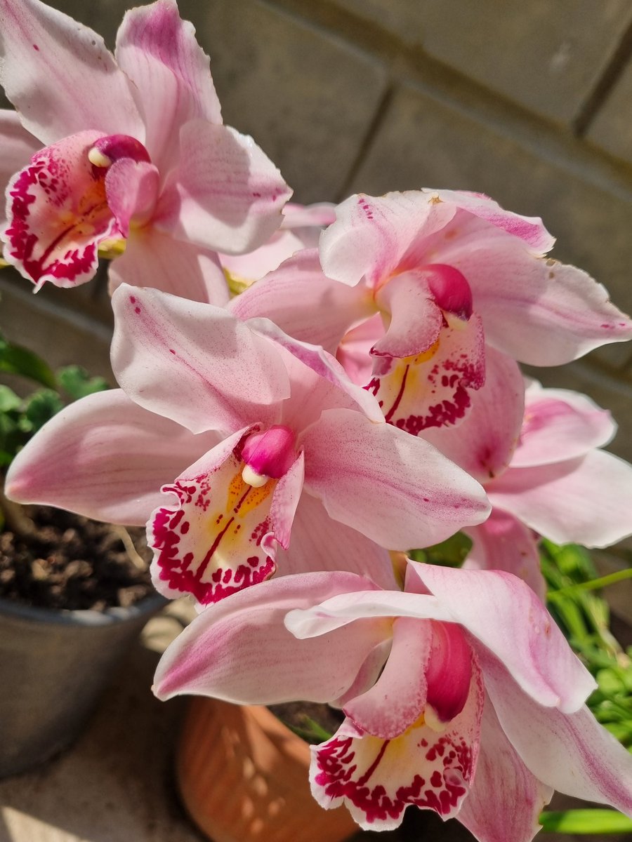 Ari-❣️88💕 tweet media