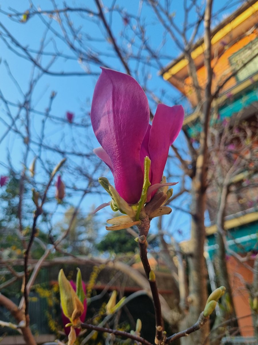 Ari-❣️88💕 tweet media