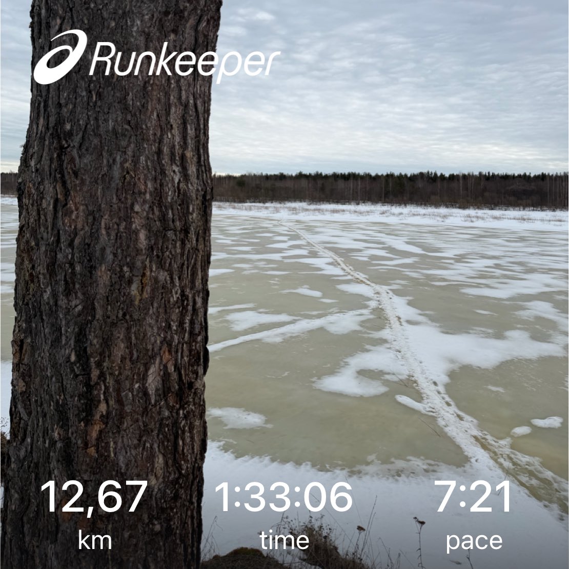 AnglyRun's tweet photo. Regular, low-intensity aerobic work helps more than just the heart — it also supports memory and focus.
So easy runs aren’t only recovery. They’re an investment in the brain too.
#EasyRun #RecoveryRun #AerobicBase #RunnerMindset #RunSmart https://t.co/LJekJcYYIn