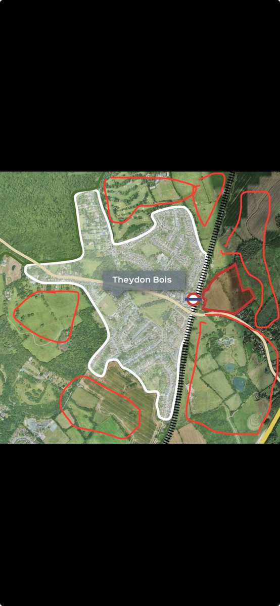 Steve R. Macey tweet media