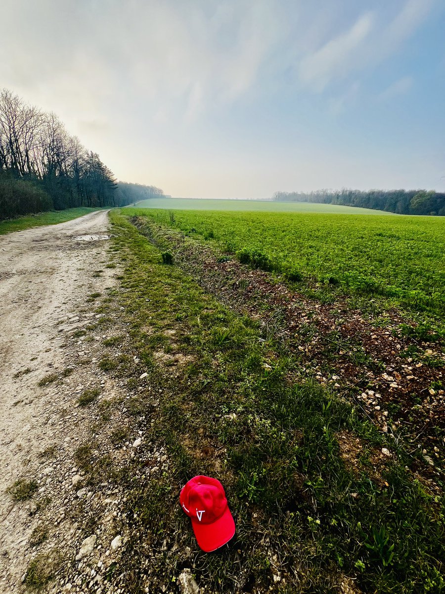 Xavier FENAUX tweet media