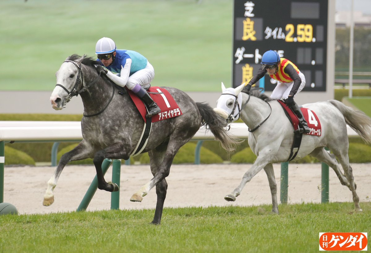 阪神大賞典、芦毛好きにはたまらない結果に。
調べてみました。重賞での芦毛ワン・ツーはグレード制導入後の８６年以降で２４回目。