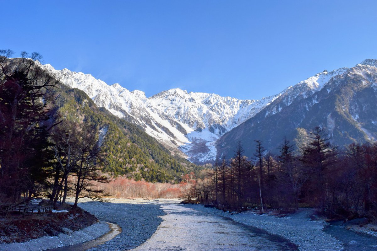 stand-blue tweet media