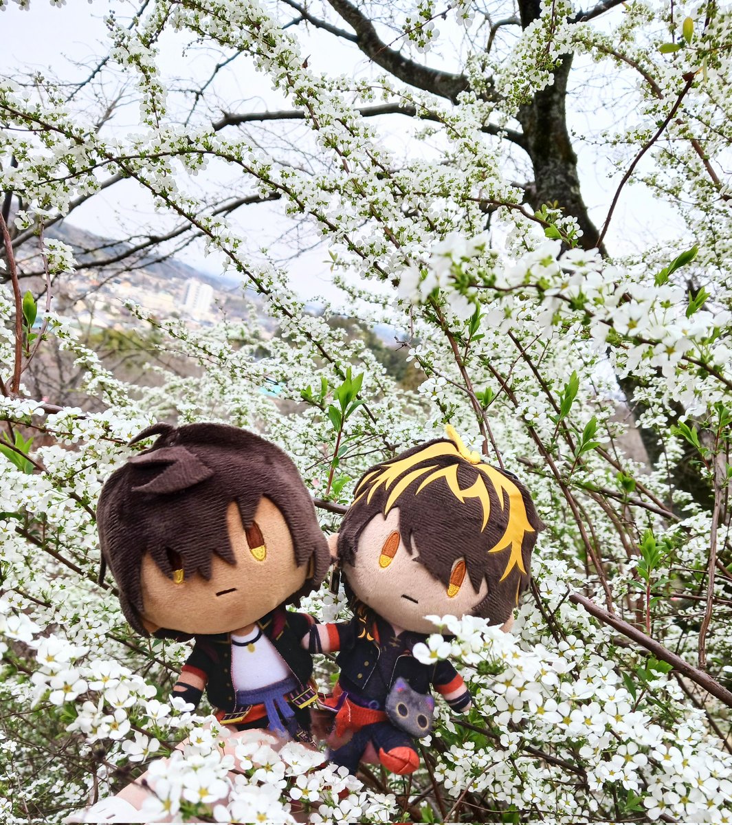 ユキヤナギの妖精

#ひろみつぬい