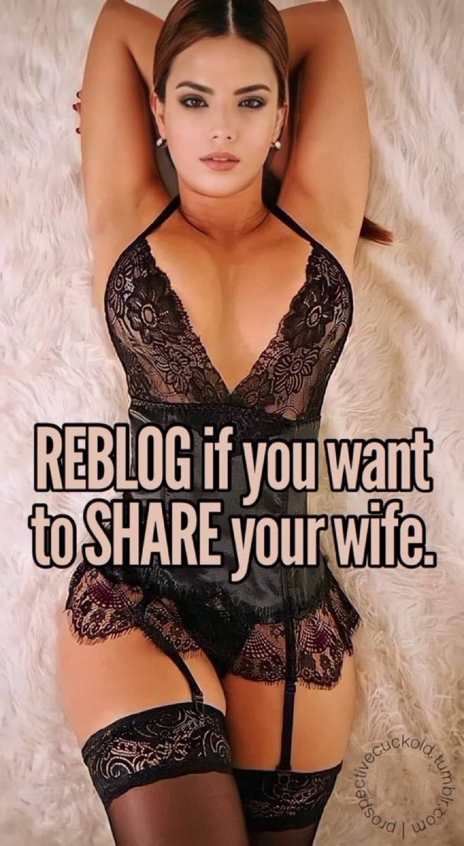 ALPHA BULL tweet media