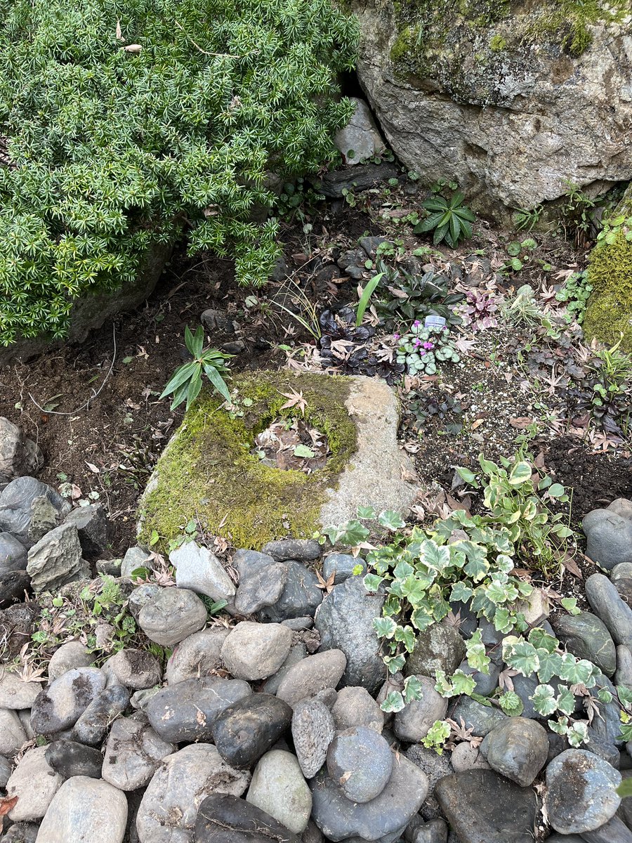 MA(まー)_春例大祭「ち39B」 tweet media